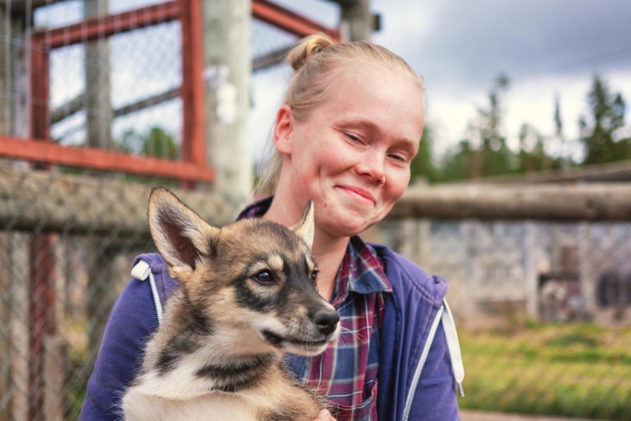 Harriniva Adventure Resort Cabins Muonio Eksteriør billede